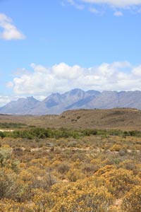 South Africa semi-desert