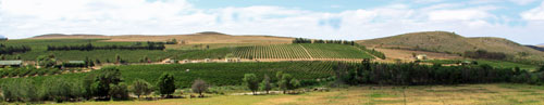 South African winelands